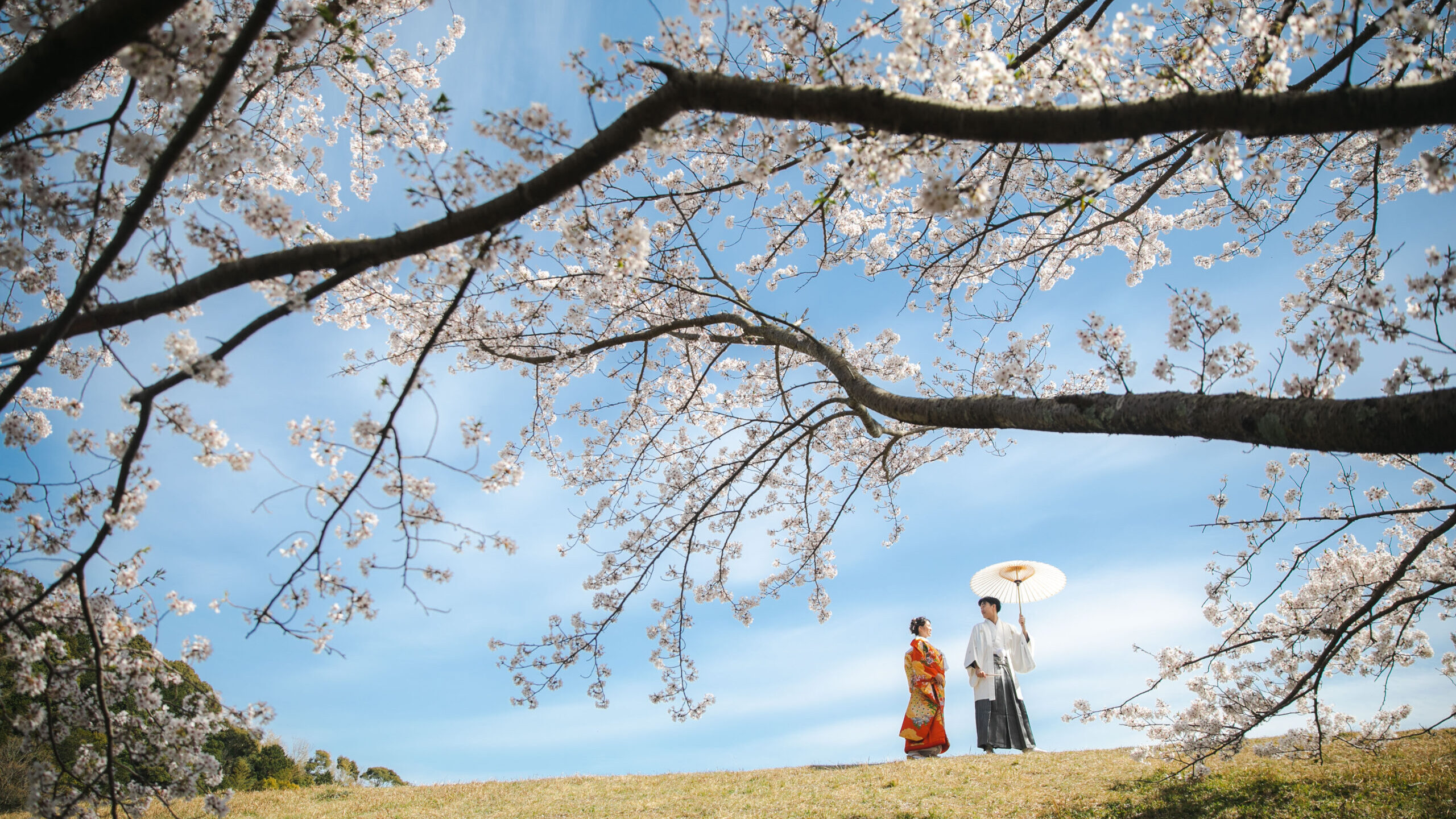 和装　白無垢　色打掛　紅葉撮影　ロケーションフォト　夕日　青空　桜撮影　新緑撮影　和装前撮り　日本庭園ロケ　スタジオ